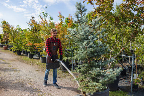 Best Organic Lawn Care Solutions  in Fulton, IL